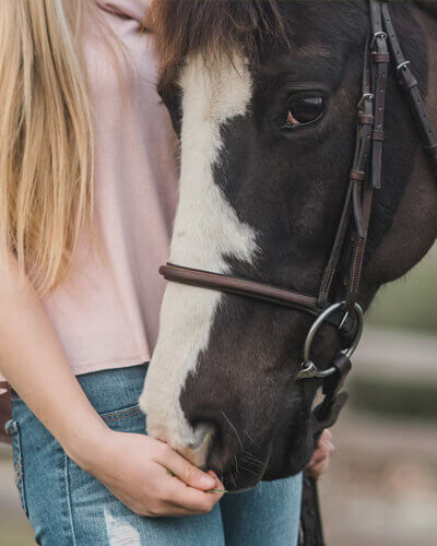 Horse Riding (Waterberg Cottages)