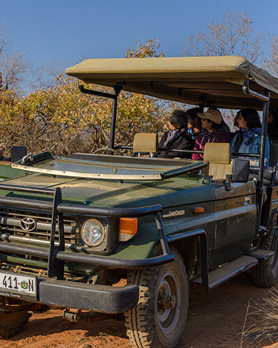 Game Drives