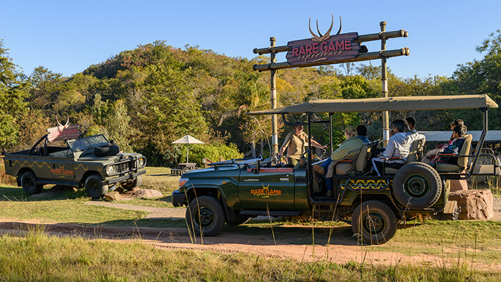 Rare Game Experience at Waterberg Game Park