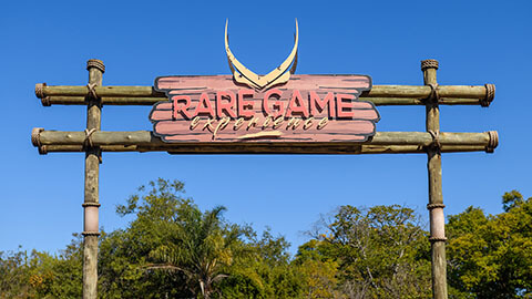 Rare Game Experience