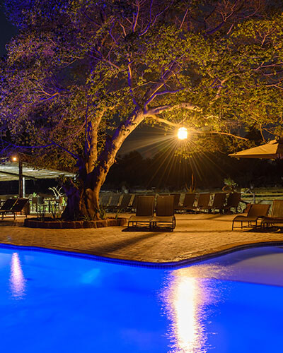 Swimming Pool*
