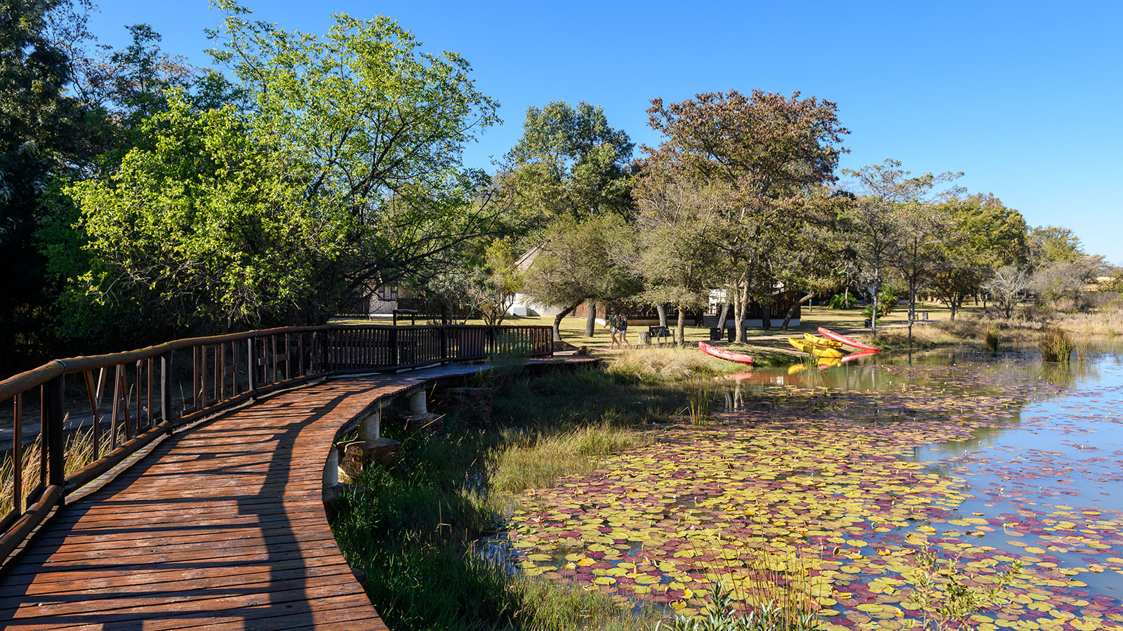 Waterberg Game Park