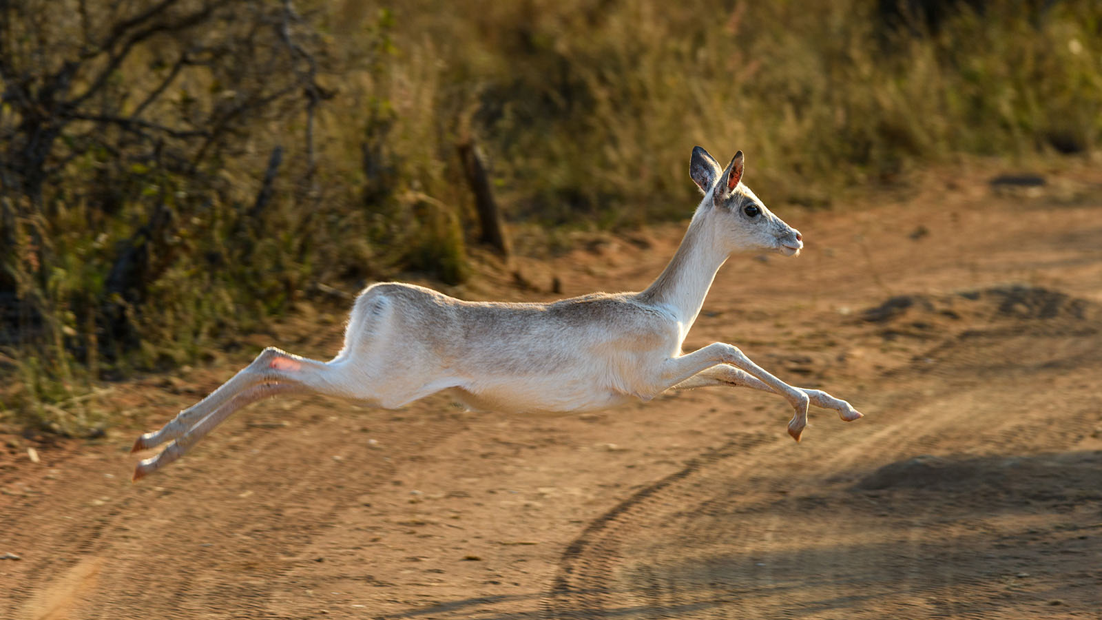 Waterberg Game Park