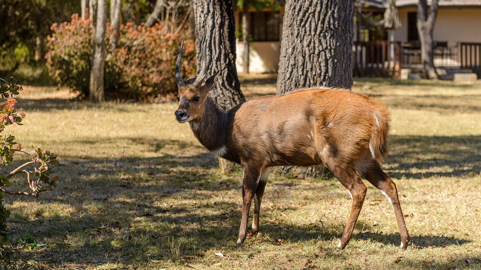 Waterberg Game Park