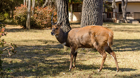 Waterberg Game Park