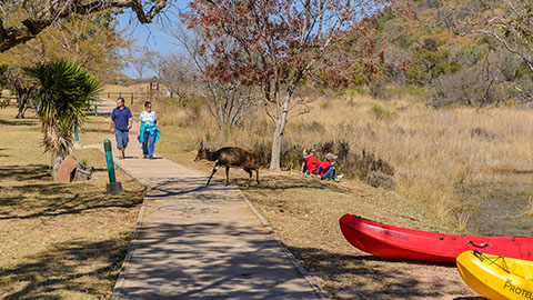 Waterberg Game Park